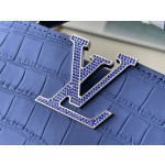 𝐋𝐎𝐔𝐈𝐒 𝐕𝐔𝐈𝐓𝐓𝐎𝐍    N93163