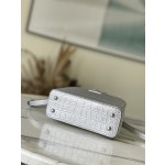 𝐋𝐎𝐔𝐈𝐒 𝐕𝐔𝐈𝐓𝐓𝐎𝐍   N94227