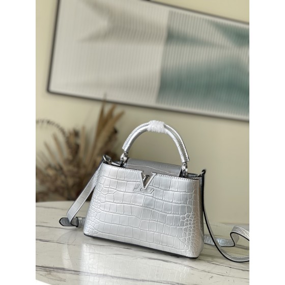 𝐋𝐎𝐔𝐈𝐒 𝐕𝐔𝐈𝐓𝐓𝐎𝐍   N93163