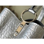 𝐋𝐎𝐔𝐈𝐒 𝐕𝐔𝐈𝐓𝐓𝐎𝐍   N93163