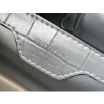 𝐋𝐎𝐔𝐈𝐒 𝐕𝐔𝐈𝐓𝐓𝐎𝐍   N93163