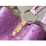 𝐋𝐎𝐔𝐈𝐒 𝐕𝐔𝐈𝐓𝐓𝐎𝐍    M95393