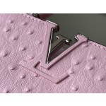 𝐋𝐎𝐔𝐈𝐒 𝐕𝐔𝐈𝐓𝐓𝐎𝐍    M95393