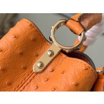 𝐋𝐎𝐔𝐈𝐒 𝐕𝐔𝐈𝐓𝐓𝐎𝐍    M95393