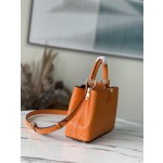 𝐋𝐎𝐔𝐈𝐒 𝐕𝐔𝐈𝐓𝐓𝐎𝐍    M95393