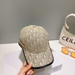 Dior (Dior) new original single embroidery baseball cap