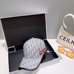 Dior (Dior) new original single embroidery baseball cap