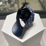 louis vuitton baseball cap