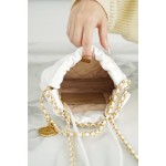 𝗖𝗛𝗔𝗡𝗘𝗟✦ 23S 22Mini bag white gold