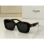 celine：CL4S216U