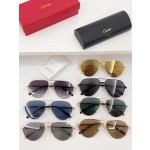 Cartier✨✨✨MODEL：CT0303S