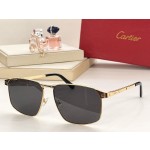 Cartier MODEL：CT0322S