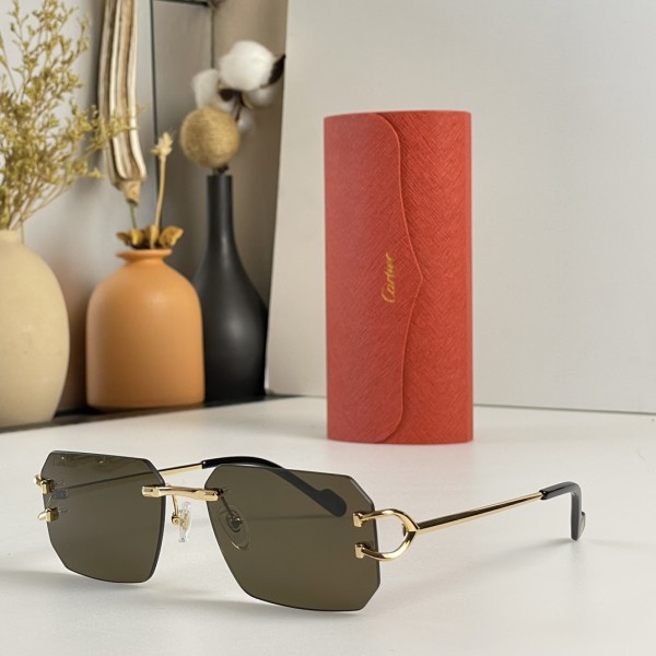 Cartier  Mod：CT0383S