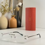 Cartier  Mod：CT0383S