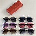 Cartier  Mod：CT0272S