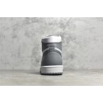 Air Jordan 1 AJ1 Wit Grijs