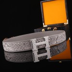 Hermes virgin forest python skin