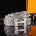 Hermes virgin forest python skin