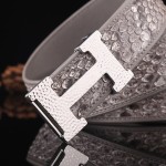 Hermes virgin forest python skin