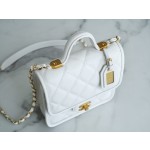 𝗖𝗛𝗔𝗡𝗘𝗟✦ France 🇫🇷 Original [HAAS] Fine Grain Calfskin 🐂𝟮𝟮𝟮k Messenger Tofu Bag White 🤍