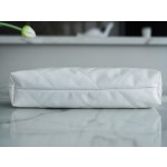 𝗖𝗛𝗔𝗘𝗡𝗟✦ 𝟐𝟐𝗣Spring/Summer New 𝟐𝟐Handbag Genuine Tail Leather Medium Platinum