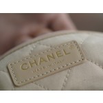 𝗖𝗛𝗔𝗘𝗡𝗟✦ 𝟐𝟐𝗣Spring/Summer New 𝟐𝟐Handbag Genuine Tail Leather Medium Platinum