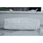 𝗖𝗛𝗔𝗘𝗡𝗟✦ 𝟐𝟐𝗣Spring/Summer New 𝟐𝟐Handbag Genuine Tail Leather Silver Small