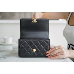 𝗖𝗛𝗔𝗘𝗡𝗟✦ 2021 Advanced Handcraft Workshop Double Golden Ball 𝗖𝗳 𝗠𝗶𝗻𝗶 𝟏𝟗𝐜𝐦Black