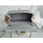 𝗖𝗛𝗔𝗘𝗡𝗟✦ 𝐂𝐅Metal Ball Fang Fatty Light Gray