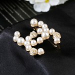 CHANEL🇫🇷Xiaoxiang's latest autumn and winter pearl crystal brooch