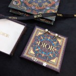 Dior Tassel Long Stud Earrings