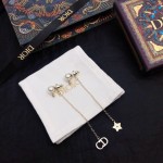 Dior Tassel Long Stud Earrings