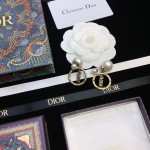 Dior Circle CD Stud Earrings