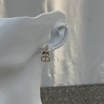Dior stud earrings