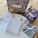 Dior EVOLUTION Earrings