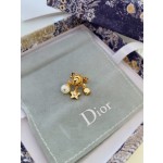 Dior EVOLUTION Earrings