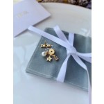 Dior EVOLUTION Earrings