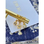 Dior EVOLUTION Earrings