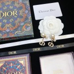Dior earrings