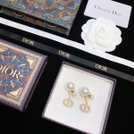 Dior earrings
