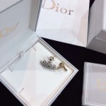 Dior CD letter JADIOR asymmetric stud earrings