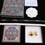 Dior stud earrings