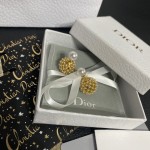 Dior stud earrings