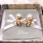 Dior stud earrings