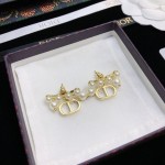 Dior stud earrings