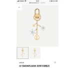 Louis Vuitton Lv bag and key ring