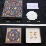 Dior stud earrings