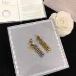 Dior earrings