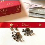 Dior earrings