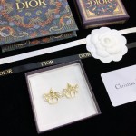 Dior earrings
